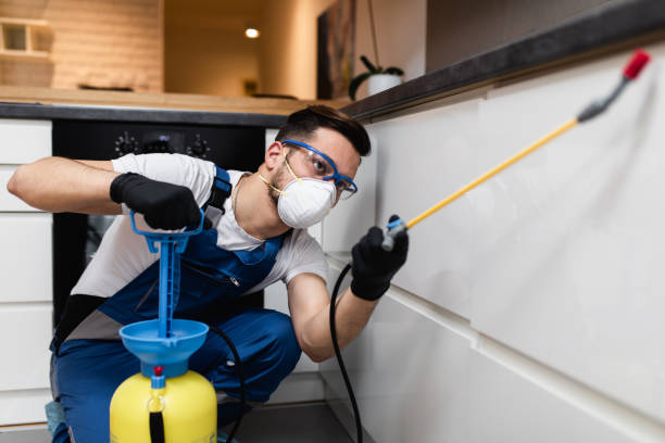 Best Bed Bug Extermination  in Merritt Island, FL