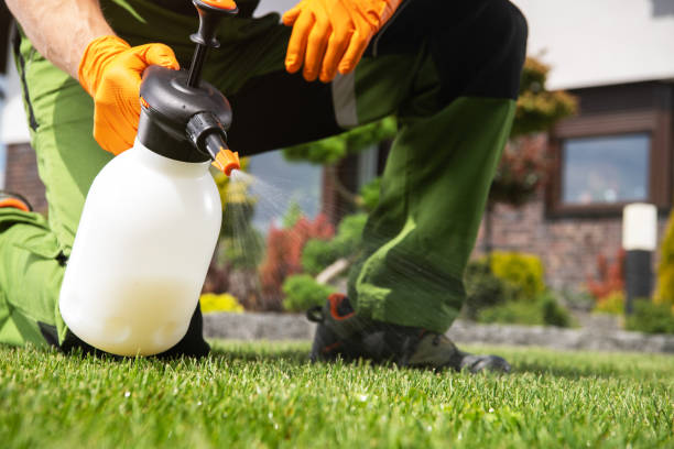 Best Residential Pest Control  in Merritt Island, FL