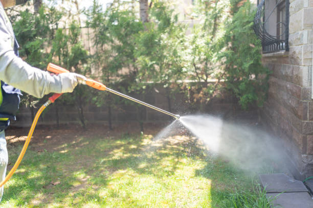 Best Pest Control for Homes  in Merritt Island, FL