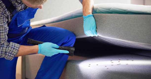 Best Affordable Pest Control Services  in Merritt Island, FL