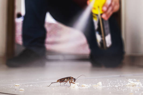 Pest Prevention Services in Merritt Island, FL